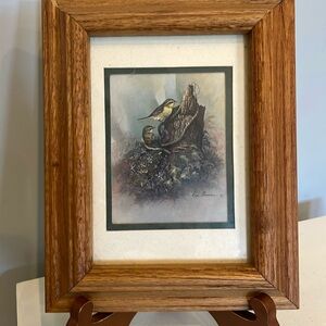 Vintage wood frame bird print glass encased 10x8